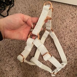 NWT! White leather dog harness
